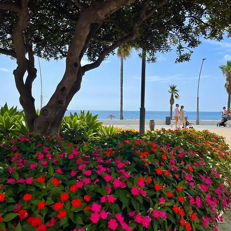 Vistamar Estepona Primera Linea De Playa Frontal Al Mar Y Al Paseo Maritimo De Estepona Estepona